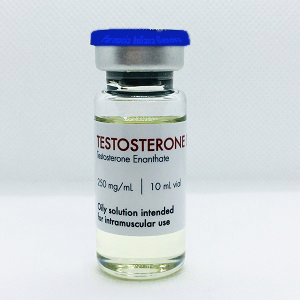 002 Testosterone Enantato Vendita Online - Farmacia Italiana Genova 250 mg/ml